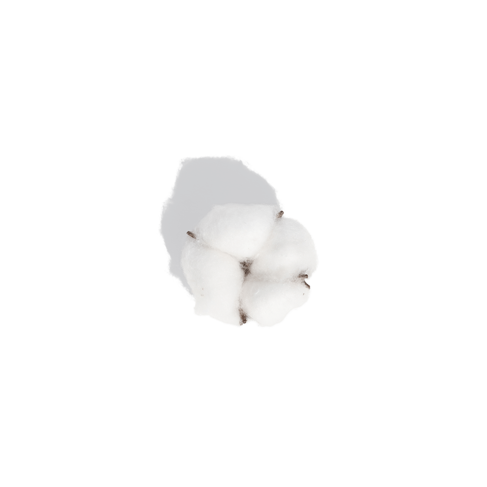 The dirty truth behind your cotton pads – BYKURAHOME
