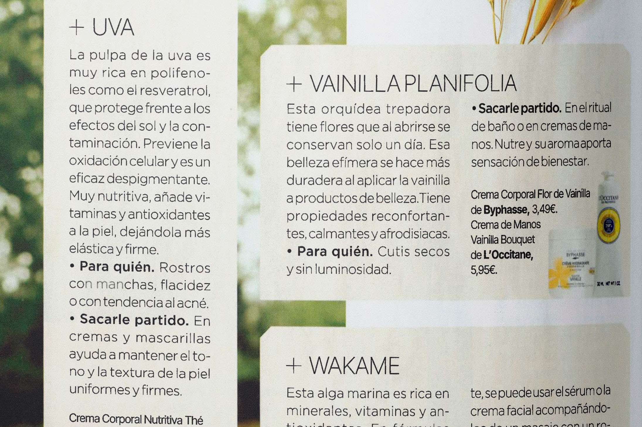  PUBLISHED IN<br>CLARA